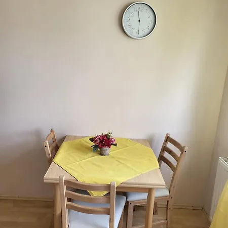 Liebenau Apartment Graz
